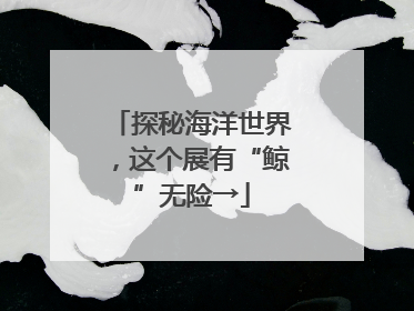探秘海洋世界，这个展有“鲸”无险→