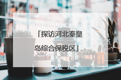探访河北秦皇岛综合保税区