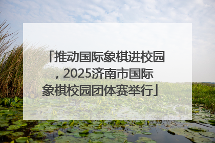 推动国际象棋进校园，2025济南市国际象棋校园团体赛举行