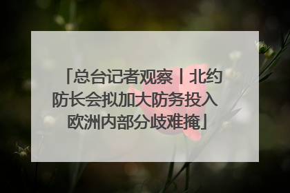 总台记者观察丨北约防长会拟加大防务投入 欧洲内部分歧难掩