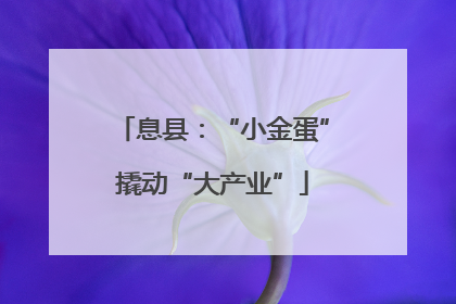息县：“小金蛋”撬动“大产业”