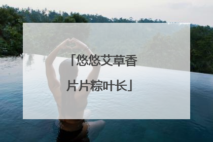 悠悠艾草香 片片粽叶长