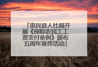 惠民县人社局开展《保障农民工工资支付条例》颁布五周年宣传活动