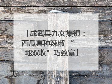 成武县九女集镇：西瓜套种辣椒 “一地双收”巧致富