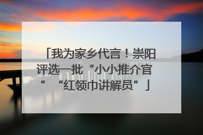 我为家乡代言！崇阳评选一批“小小推介官”“红领巾讲解员”