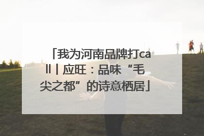 我为河南品牌打call丨应旺：品味“毛尖之都”的诗意栖居