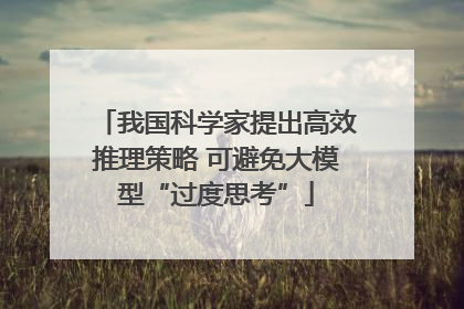 我国科学家提出高效推理策略 可避免大模型“过度思考”