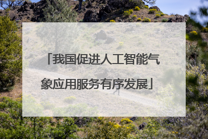 我国促进人工智能气象应用服务有序发展