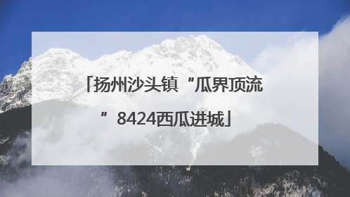 扬州沙头镇“瓜界顶流”8424西瓜进城