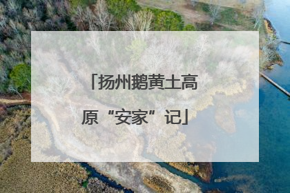 扬州鹅黄土高原“安家”记