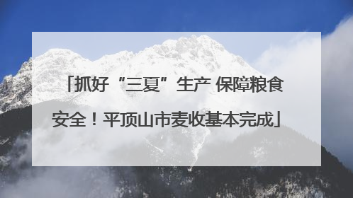 抓好“三夏”生产 保障粮食安全！平顶山市麦收基本完成