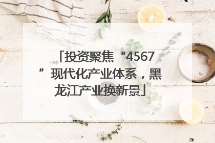 投资聚焦“4567”现代化产业体系，黑龙江产业换新景