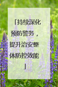 持续深化预防警务，提升治安整体防控效能