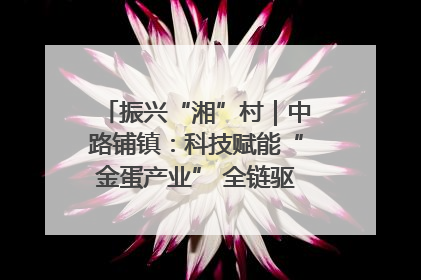 振兴“湘”村｜中路铺镇：科技赋能“金蛋产业” 全链驱动乡村振兴