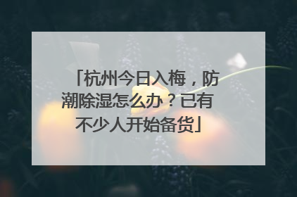 杭州今日入梅，防潮除湿怎么办？已有不少人开始备货