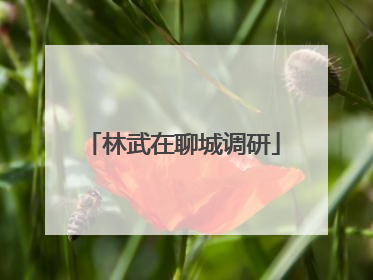 林武在聊城调研
