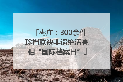 枣庄：300余件珍档联袂非遗绝活亮相“国际档案日”