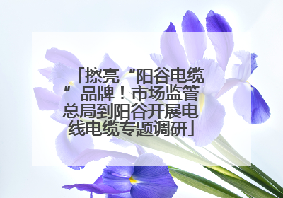 擦亮“阳谷电缆”品牌！市场监管总局到阳谷开展电线电缆专题调研