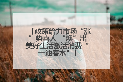 政策给力市场“涨”势喜人 “焕”出美好生活激活消费“一池春水”