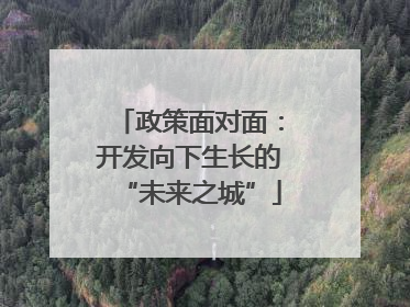 政策面对面：开发向下生长的“未来之城”