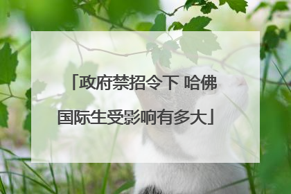 政府禁招令下 哈佛国际生受影响有多大