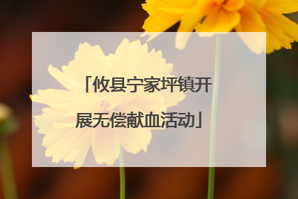 攸县宁家坪镇开展无偿献血活动