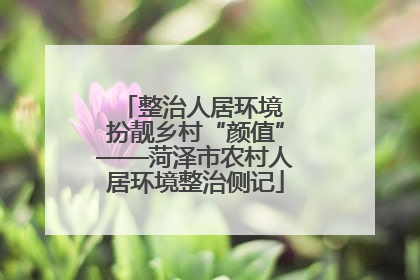 整治人居环境 扮靓乡村“颜值”——菏泽市农村人居环境整治侧记