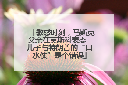 敏感时刻，马斯克父亲在莫斯科表态：儿子与特朗普的“口水仗”是个错误