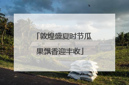 敦煌盛夏时节瓜果飘香迎丰收