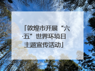 敦煌市开展“六·五”世界环境日主题宣传活动