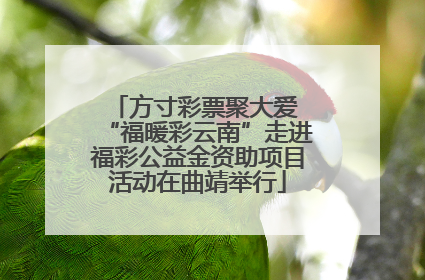 方寸彩票聚大爱 “福暖彩云南”走进福彩公益金资助项目活动在曲靖举行