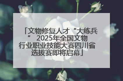 文物修复人才“大练兵” 2025年全国文物行业职业技能大赛四川省选拔赛即将启幕