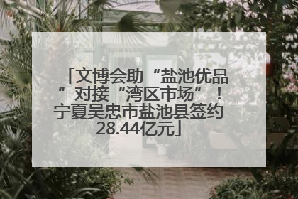 文博会助“盐池优品”对接“湾区市场”！宁夏吴忠市盐池县签约28.44亿元