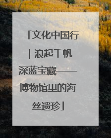 文化中国行｜浪起千帆 深蓝宝藏——博物馆里的海丝遗珍