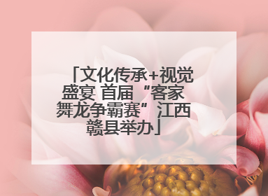 文化传承+视觉盛宴 首届“客家舞龙争霸赛”江西赣县举办