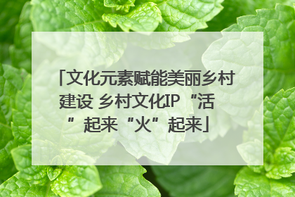 文化元素赋能美丽乡村建设 乡村文化IP“活”起来“火”起来