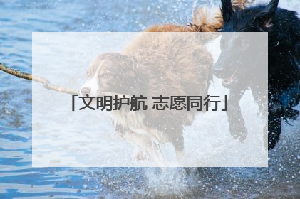 文明护航 志愿同行