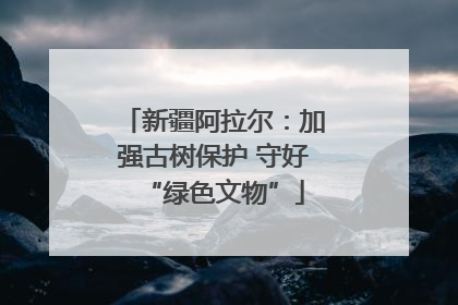 新疆阿拉尔：加强古树保护 守好“绿色文物”