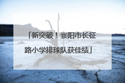 新突破！襄阳市长征路小学排球队获佳绩