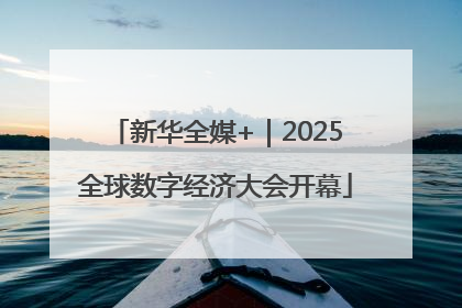 新华全媒+｜2025全球数字经济大会开幕