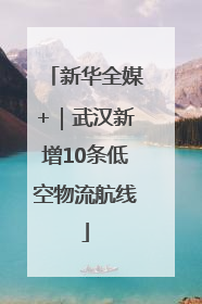 新华全媒+｜武汉新增10条低空物流航线