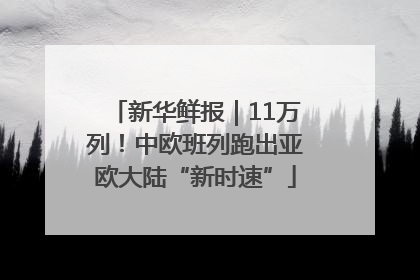 新华鲜报｜11万列！中欧班列跑出亚欧大陆“新时速”
