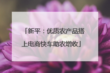 新平：优质农产品搭上电商快车助农增收