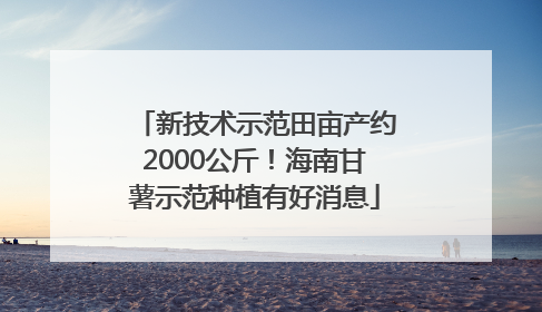 新技术示范田亩产约2000公斤！海南甘薯示范种植有好消息