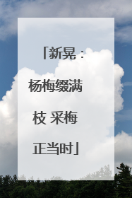 新晃：杨梅缀满枝 采梅正当时