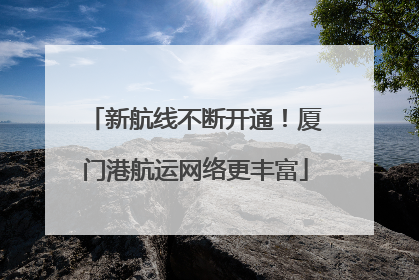 新航线不断开通！厦门港航运网络更丰富
