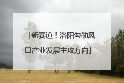 新赛道！洛阳勾勒风口产业发展主攻方向