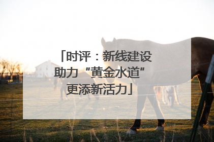 时评：新线建设助力“黄金水道”更添新活力