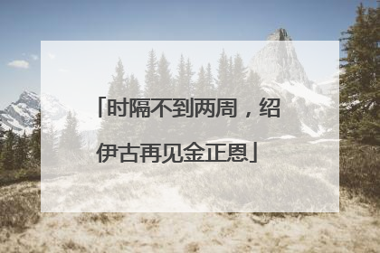 时隔不到两周，绍伊古再见金正恩