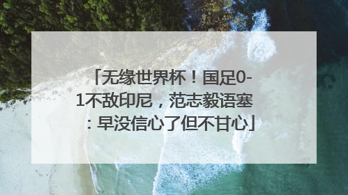 无缘世界杯！国足0-1不敌印尼，范志毅语塞：早没信心了但不甘心